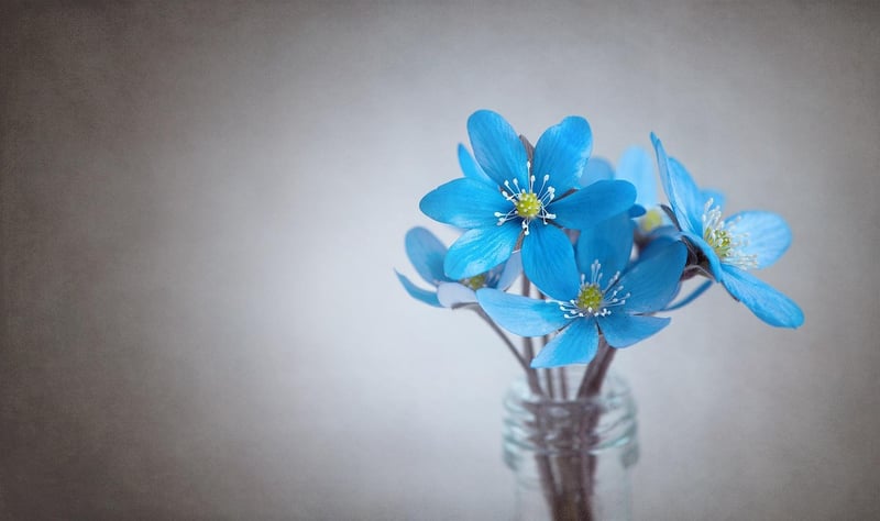 Floral Accessories